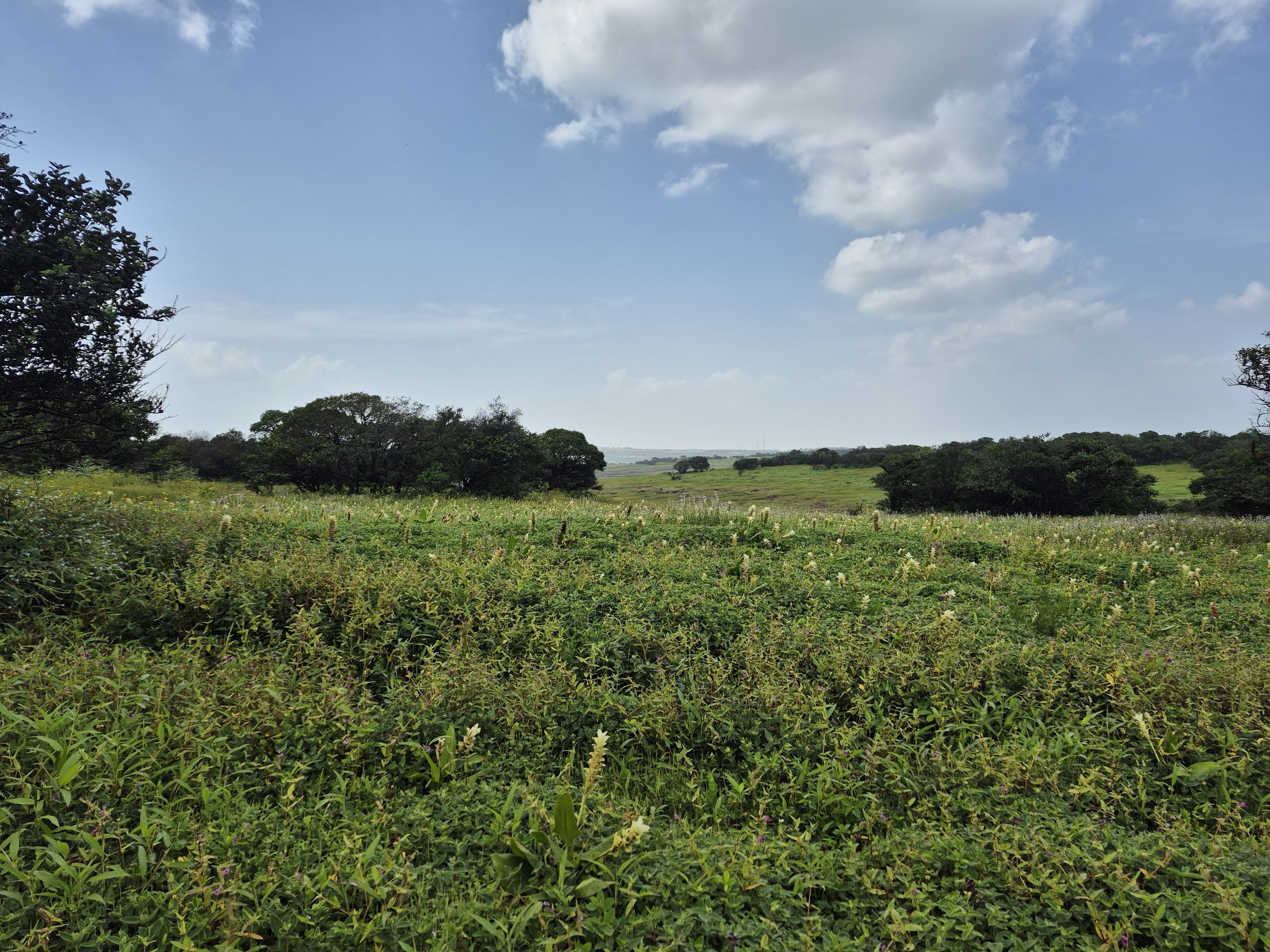 Kas Pathar Motorcycle Trip